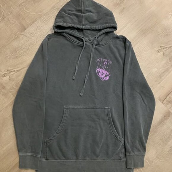 State Champs Pop Punk Band Umbrella Sweatshirt Hoodie Gray Men's Small S Purple - Picture 2 of 5
